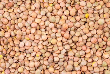 Fototapeta premium Dried green lentil on the white background