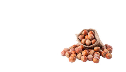 Shelled hazelnuts on the white background