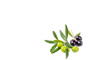 Green fresh organic olive on the white background