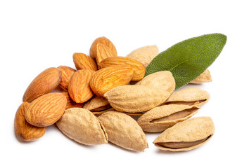 Raw fresh almonds with shell.
