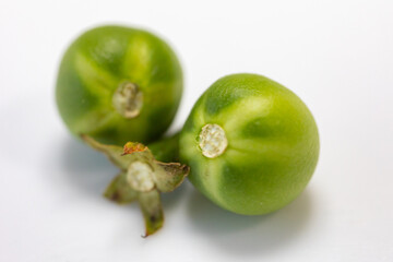 Macro photo of 