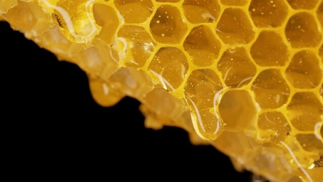 Macro honeycomb with pure golden honey elixir flow. Healthy natural sweet nectar