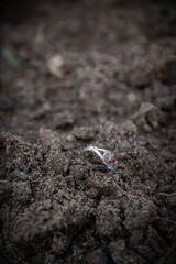 Original beautiful antique jewelry, ring