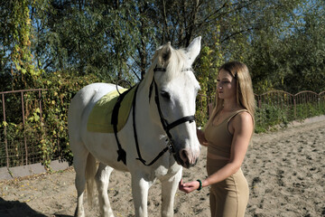 A blond woman in light clothes is caring for a white horse on the farm. A woman loves her pet,