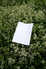 Mockup of sheet on a glade studded with white flowers.