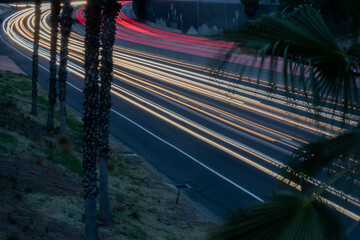 Multicolored car head and tail lights with palm trees in foreground of 91 Freeway, Anaheim,...