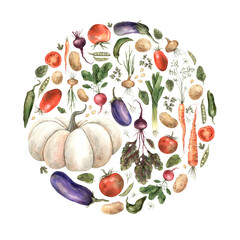 Watercolor round set of vegetables, pumpkin, eggplant, onion, beet, pepper, radish, dill, carrot, pea, potato, parsley, spinach. Isolated handmade elements on a white background. Use in graphic