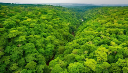 Obraz premium Tranquil scene of green meadow and mountain range, aerial view generated by AI