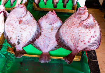 Fish shop, various fish, dorado, mackerel,