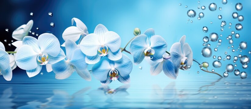 The blue floral design on the tropical orchid background captures the beauty of spring and summer with water droplets glistening on the leaves and butterflies dancing among the white flower