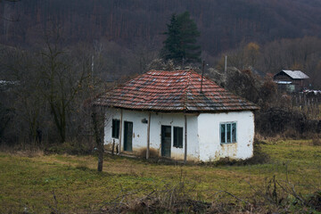 the beautiful house in the country with flowering trees in spring in Romania