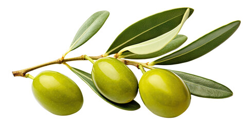 Olive branch with ripe and delicious olives, cut out - obrazy, fototapety, plakaty
