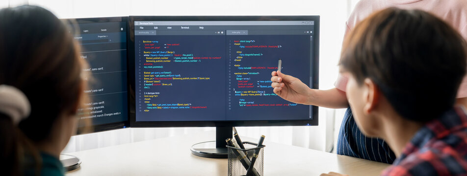Closeup skilled young female programer present program coding and sharing programing idea while manager listening carefully.at modern office company. Java script, web design concept. Burgeoning.