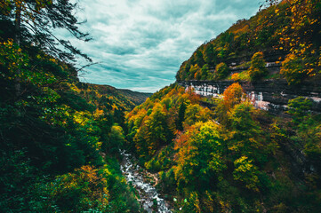 landscape in autumn