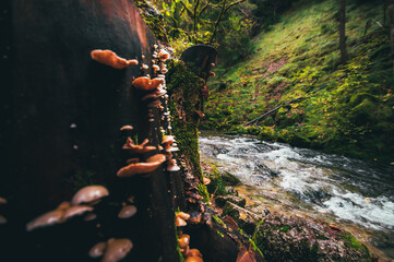 waterfall in the mountains