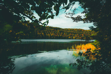 lake in the forest