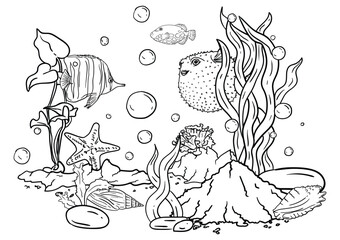  Vector illustration of a coloring book of the underwater world with beautiful fish, shells, algae in the sea