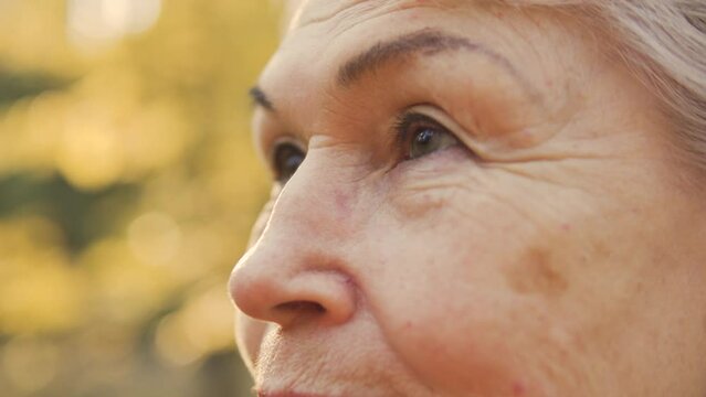 Macro close-up face of aging lady, skin imperfections such as wrinkles, spider vines and age spots, femininity of aged woman