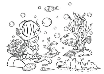 Vector illustration of a coloring book of the underwater world with beautiful fish, shells, algae in the sea