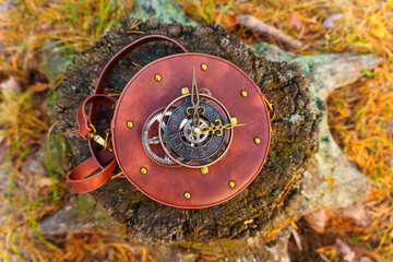 Nature's Elegance: Clockwork Bag on Forest Stump