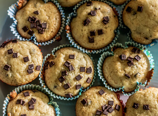 gluten free muffins with chocolate closeup