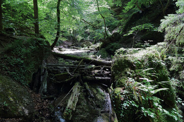 Landschaft Bayern - Pähler Schlucht - Burgleitenbach / Landscape Bavaria - Pähler Gorge - Burgleitenbach /