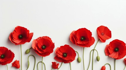 Red Poppies on White Background: Remembrance Day Banner. Generative ai