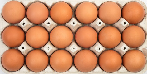 brown hen eggs in carton box isolated on white background.