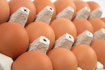 brown hen eggs in carton box isolated on white background.