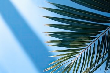 Fototapeta premium shadows and palm leaf on a light, sky blue, pastel wall. background for advertising a luxury product.