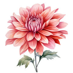 flower bouquet isolated on white background, ai generated 
