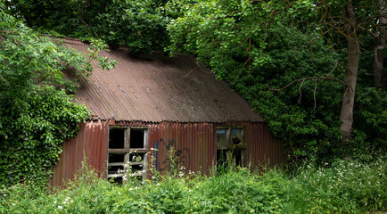 Abandoned deserted farmhouse covered with trees in the forest. Deserted places outdoor