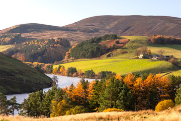 Expansive views of a valley in Scottish Highlands in colourful autumn colours with a lake and a small farm with sheep