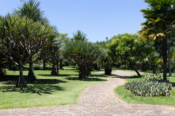 Botanic Garden of the city of Jundiai in Sao Paulo, Brazil. Aerial view.