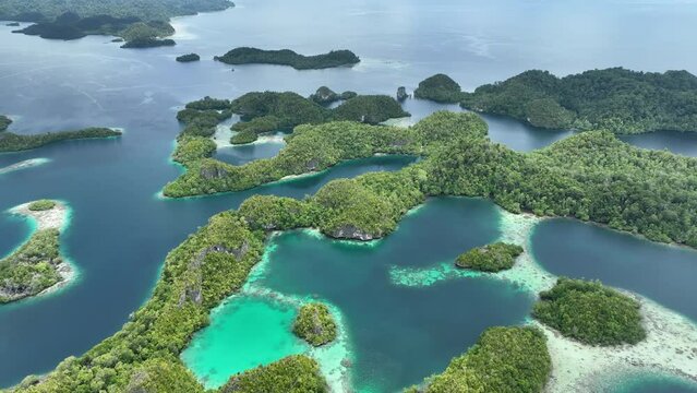 The incredibly scenic islands of Pef are fringed by mangrove trees and surrounded by beautiful coral reefs. These islands, found in northern Raja Ampat, support an amazing array of biodiversity.
