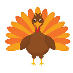 Turkey. Thanksgiving Day. Vector turkey, autumn seasonal illustration. Holiday thankgiving symbol.