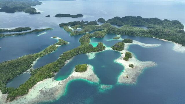 The incredibly scenic islands of Pef are fringed by mangrove trees and surrounded by beautiful coral reefs. These islands, found in northern Raja Ampat, support an amazing array of biodiversity.