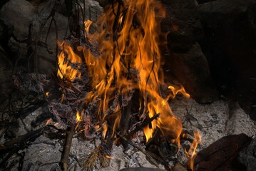 Starting to burn