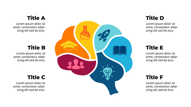 Human Brain Infographic. Vector Educational Concept. Presentation Template. Critical thinking illustration. Creative diagram with 6 parts and options. Generating Ideas Brainstorming. 