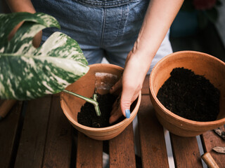 A woman gardening plants on a balcony, nurturing green life in an urban environment