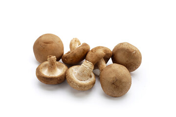 Fresh shiitake mushrooms on white background.