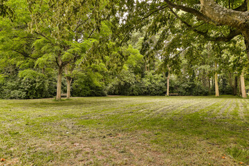 Fototapeta na wymiar an empty grassy field with trees and grass in the foreground stock image for commercial use only on this site