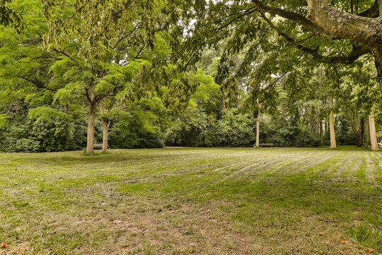 an empty grassy field with trees and grass in the foreground stock image for commercial use only on this site