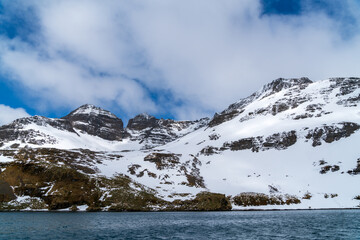 サウスジョージア島　プリンスオラフハーバーの風景