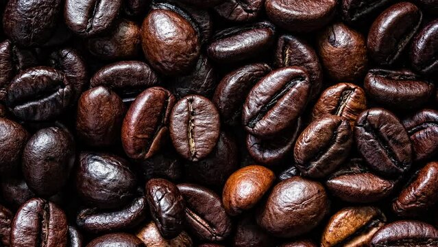 Coffee beans robusta stock video footage 4k