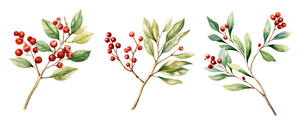 Christmas branch watercolor clipart illustration with isolated background.