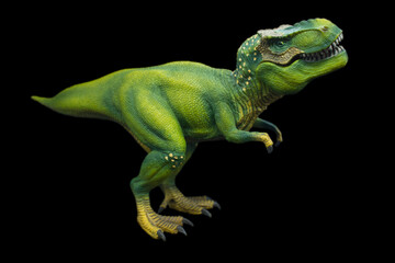  Studio image of a Tyrannosaurus Rex on a black isolated background.