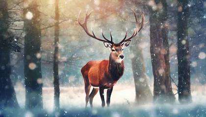 Fototapete red deer stag in the winter forest noble deer male banner with beautiful animal in the nature habitat wildlife scene from the wild nature landscape wallpaper christmas background © Art_me2541
