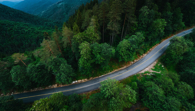 aerial top view mountaint road in dark green forest