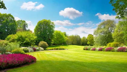 Poster beautiful wide format image of a manicured country lawn surrounded by trees and shrubs on a bright summer day spring summer nature © Art_me2541